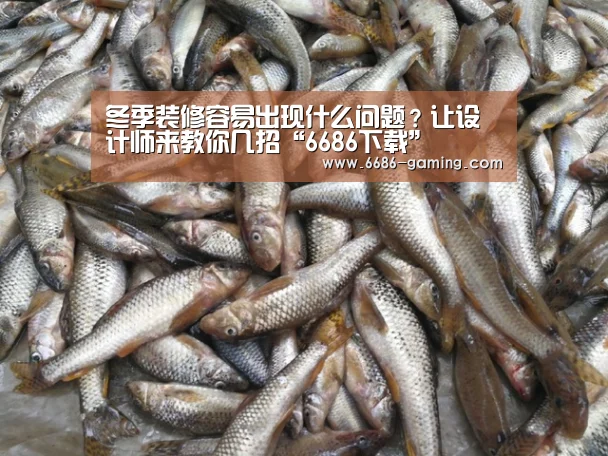 6686下载