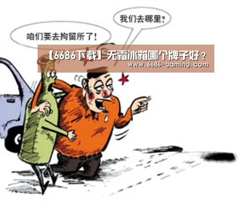 【6686下载】无霜冰箱哪个牌子好?(图1) 6686下载