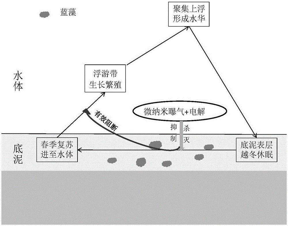 6686首页