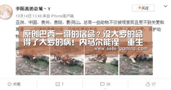 原创巴西一哥的宿命?没大罗的命得了大罗的病!内马尔能涅槃重生吗【6686游戏】(图3) 6686游戏