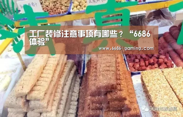 6686体验