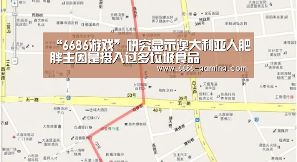 6686体验