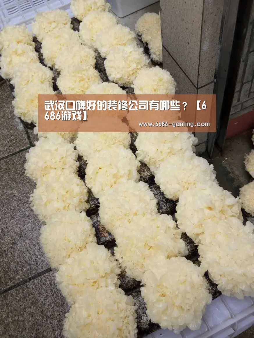 6686下载