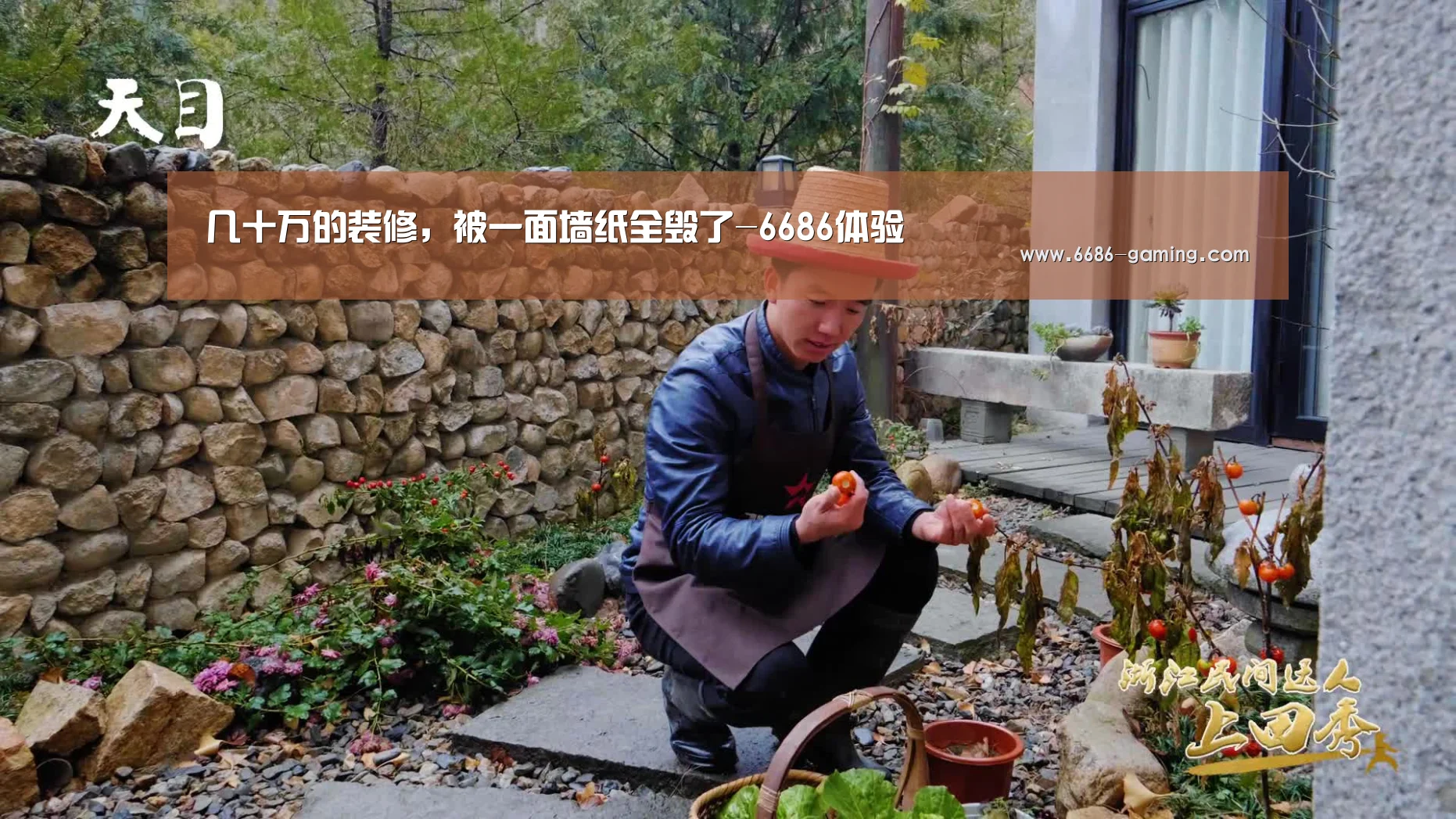 几十万的装修,被一面墙纸全毁了-6686体验(图4) 6686首页